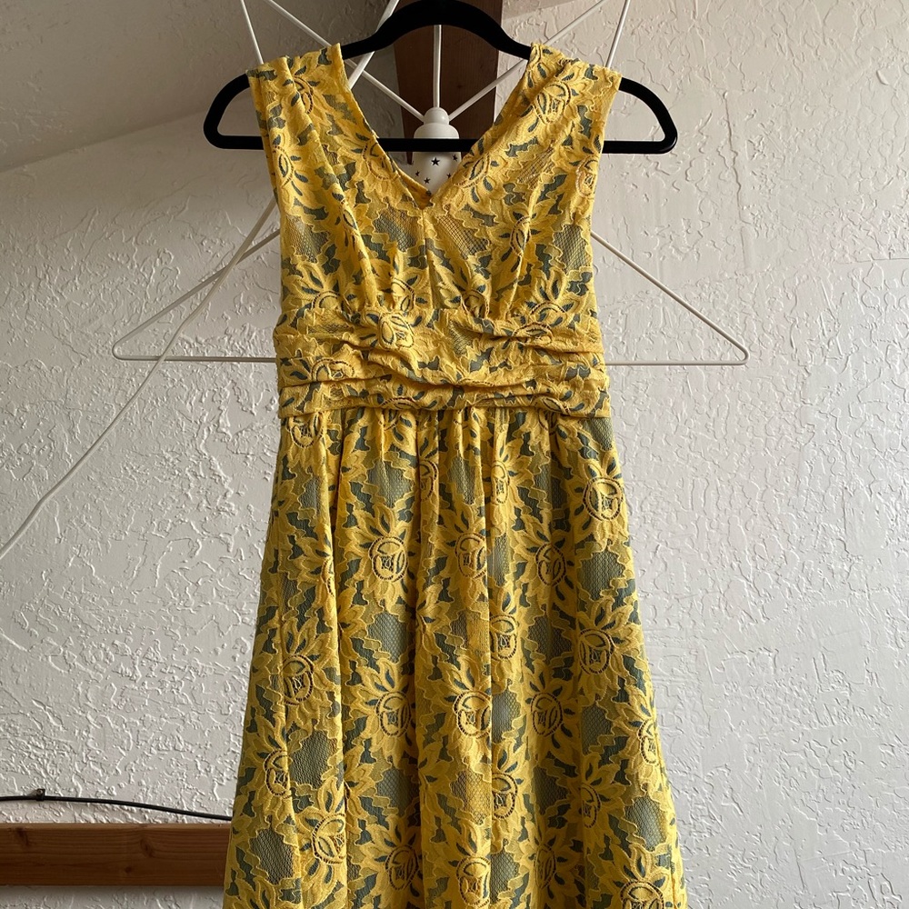 Plenty Tracey Reese lace dress 4 Anthropologie